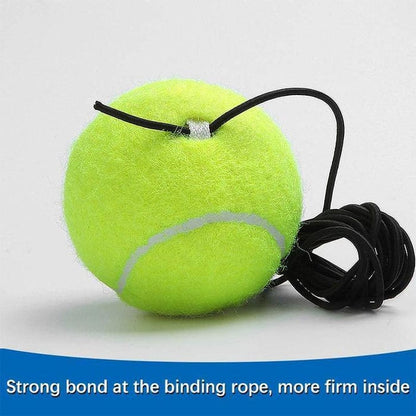 Cricket Trainer Rebound Ball